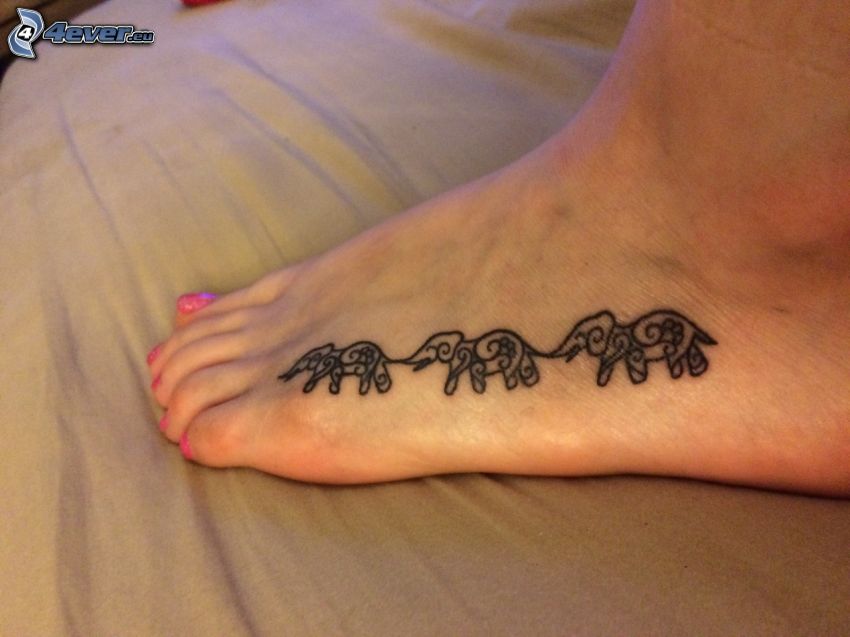 tatouage, éléphants, pied