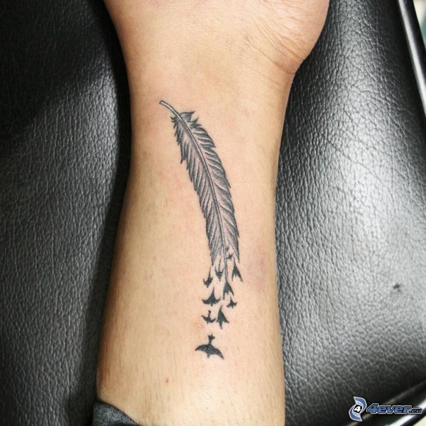 tatouage, plume, oiseaux
