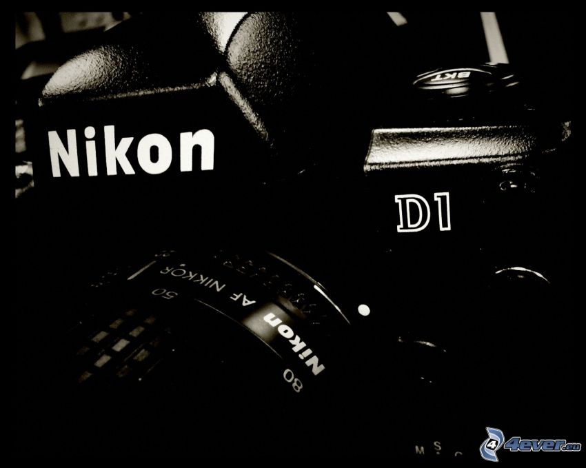 appareil photo, Nikon