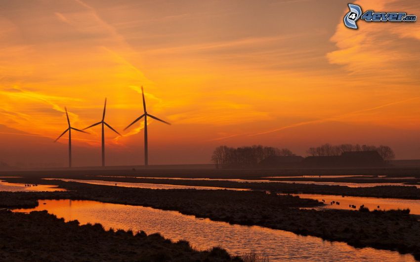 éoliennes au couchage du soleil, ciel orange, les flaques