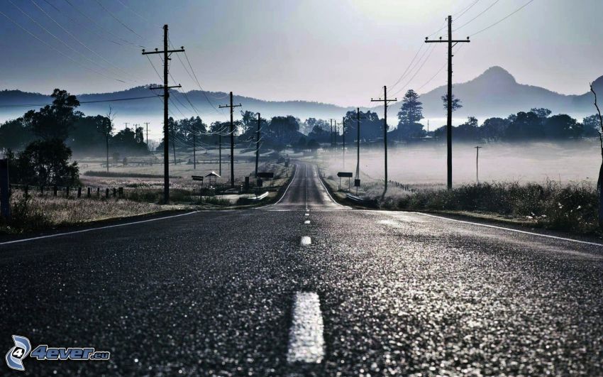 route, le câblage électrique, montagne, brouillard au sol