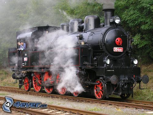 locomotive à vapeur, rails, forêt, vapeur