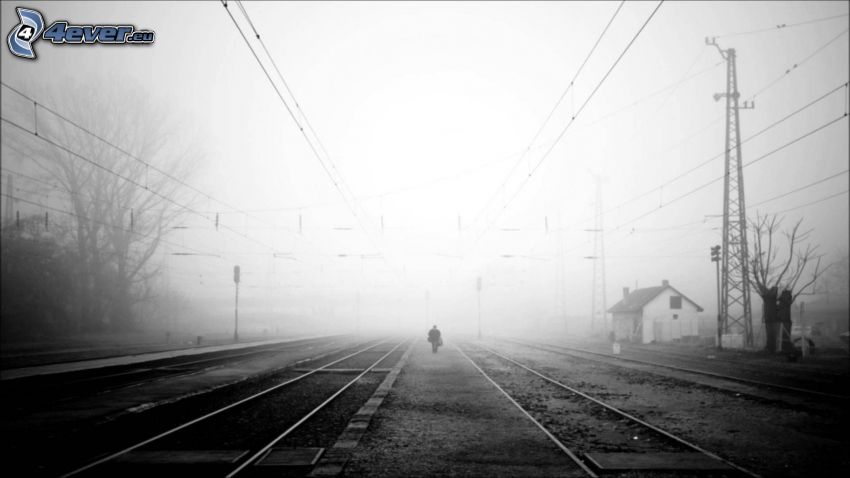 rails, humain, brouillard, noir et blanc