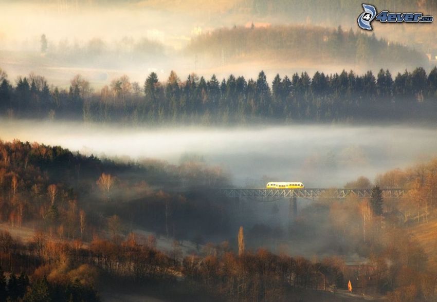train, pont de chemin de fer, brouillard, arbres d'automne