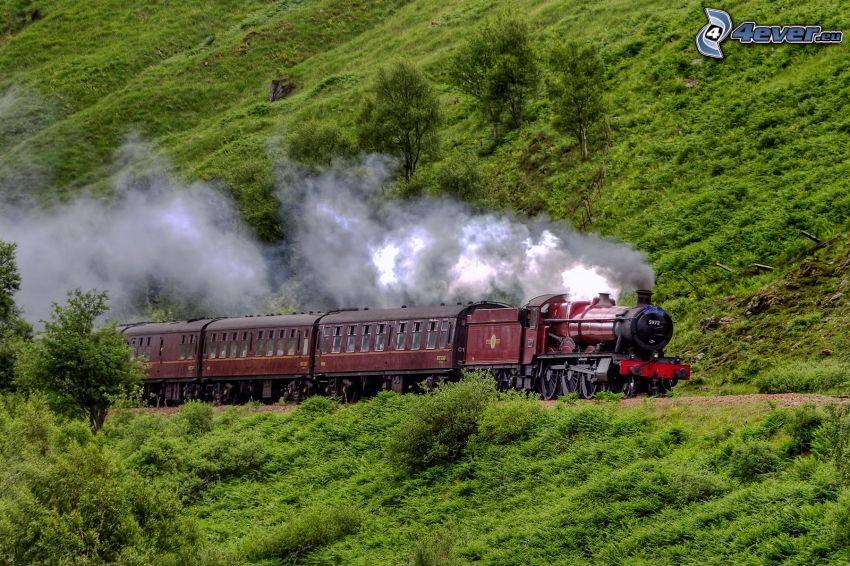 train à vapeur, campagne anglaise