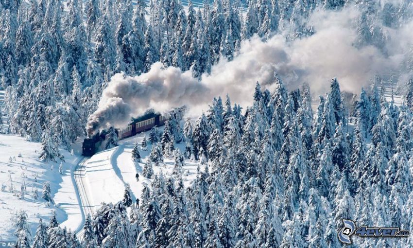 train à vapeur, forêt enneigée