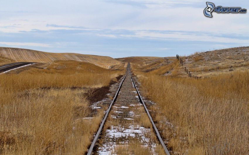 voie ancienne, paysage de la prairie desséchée