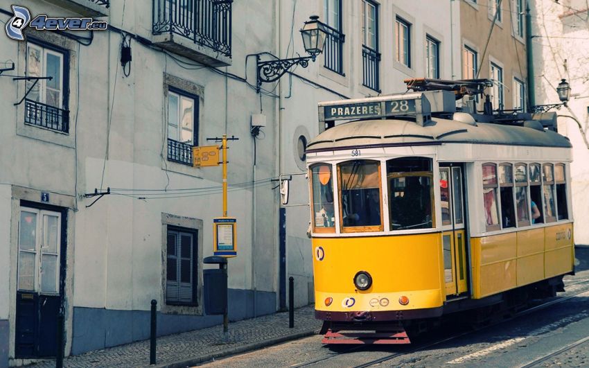 tramway, rue, maisons