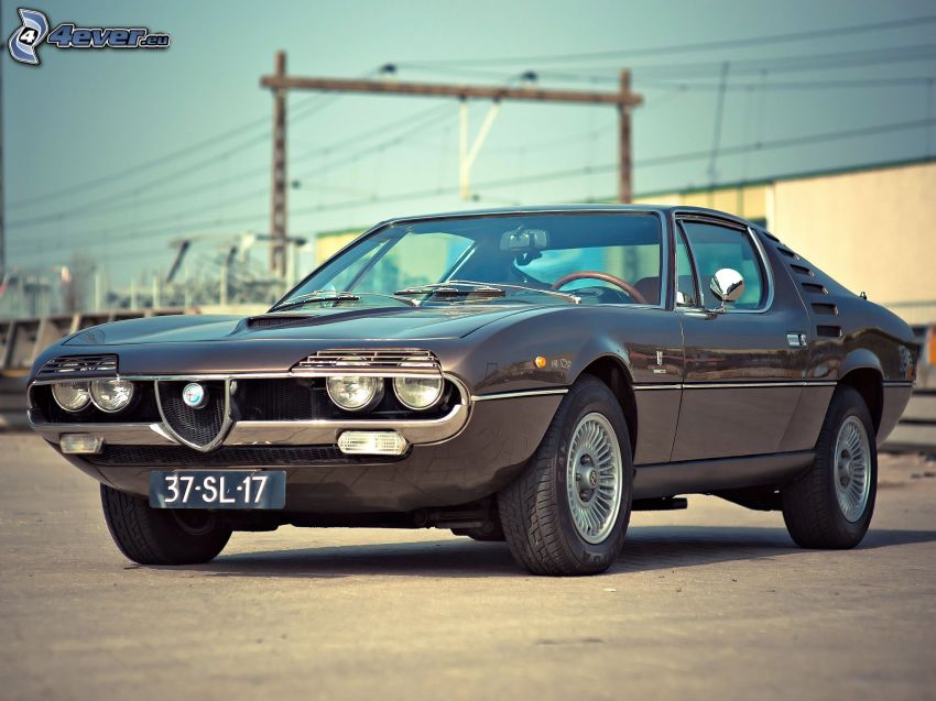 Alfa Romeo, automobile de collection
