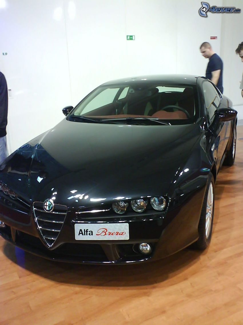 Alfa Romeo, voiture