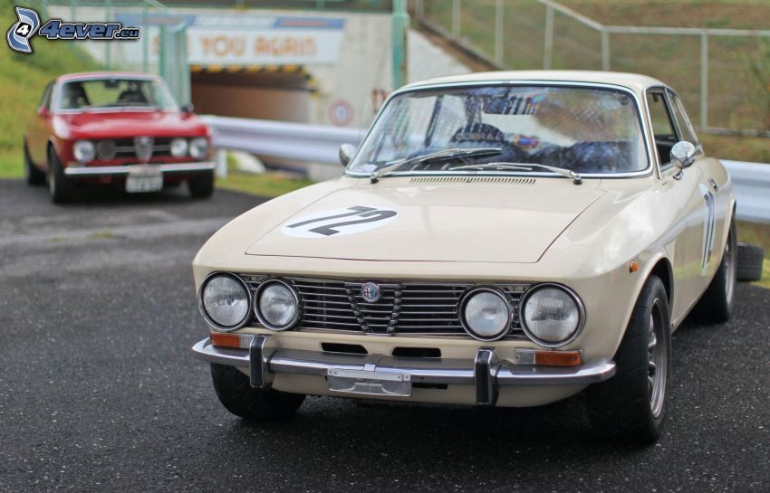 Alfa Romeo, automobile de collection