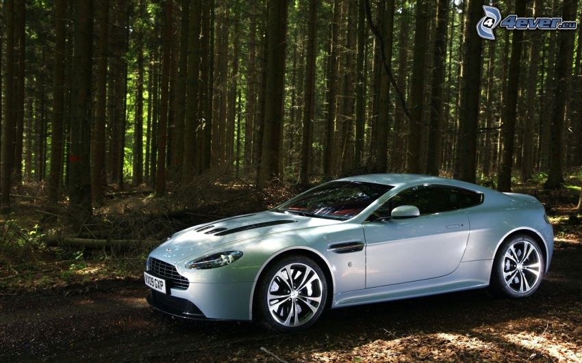 Aston Martin V12 Vantage, forêt