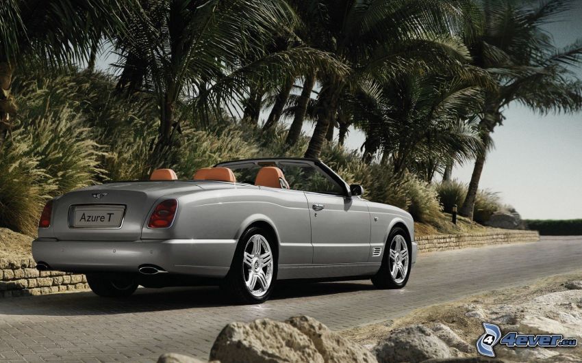 Bentley Azure, cabriolet, palmiers
