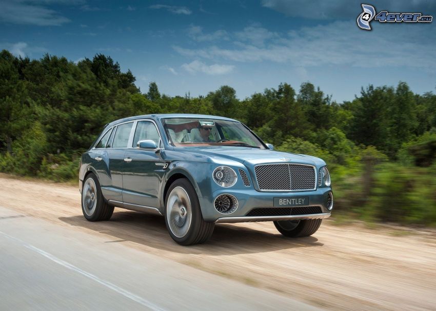 Bentley EXP 9F, la vitesse, forêt de conifères