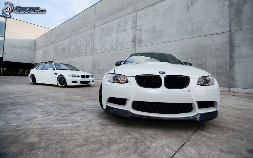 BMW, la calandre