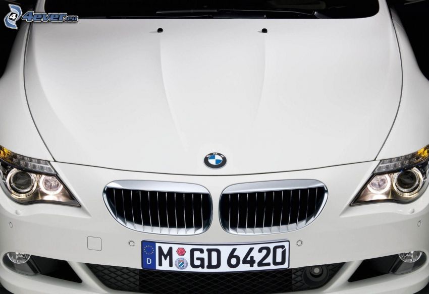 BMW 6 Series, la calandre