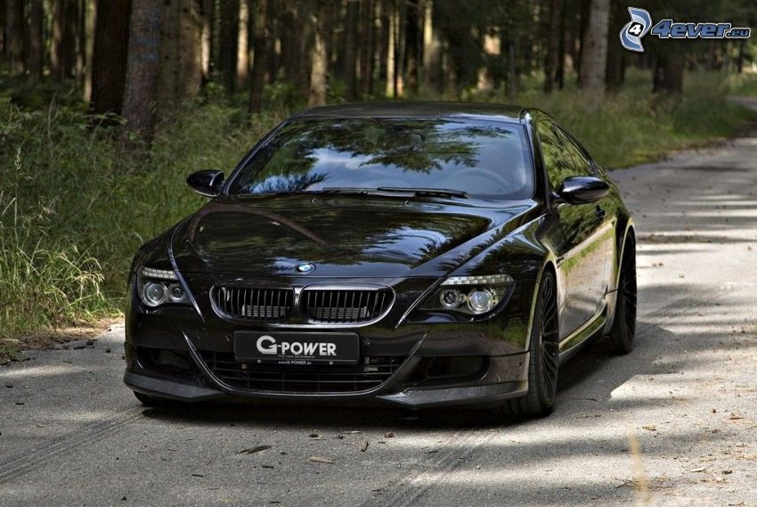 BMW M6, route par la forêt