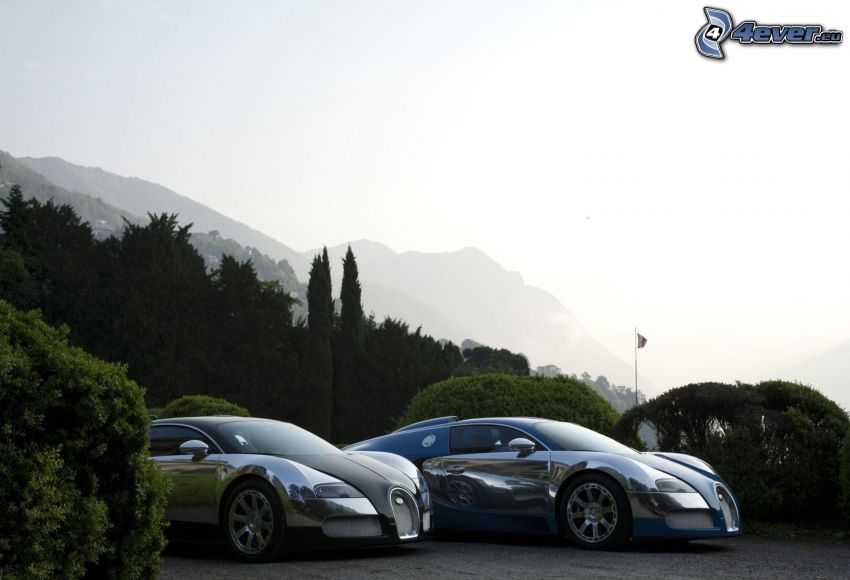 Bugatti Veyron, arbustes