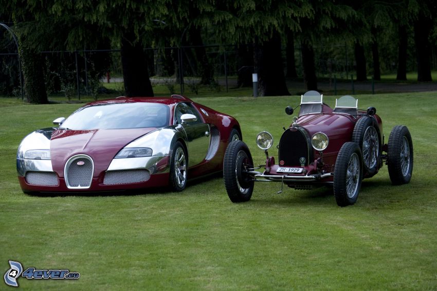Bugatti Veyron, automobile de collection, cabriolet, pelouse