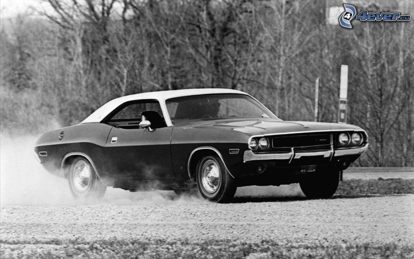 Dodge Challenger, automobile de collection, photo noir et blanc