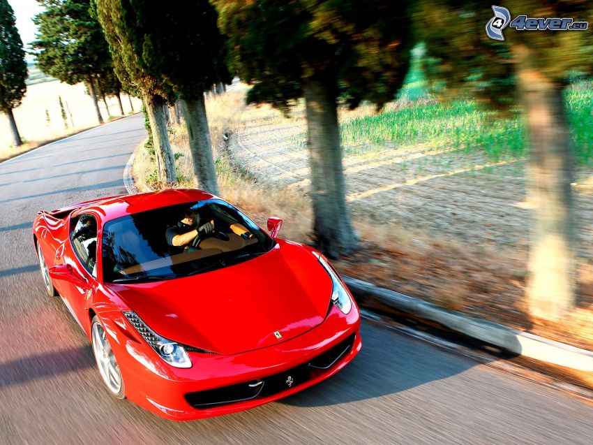 Ferrari 458 Italia, la vitesse, allée des arbres