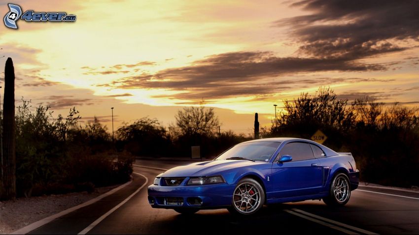 Ford Mustang, route, coucher du soleil