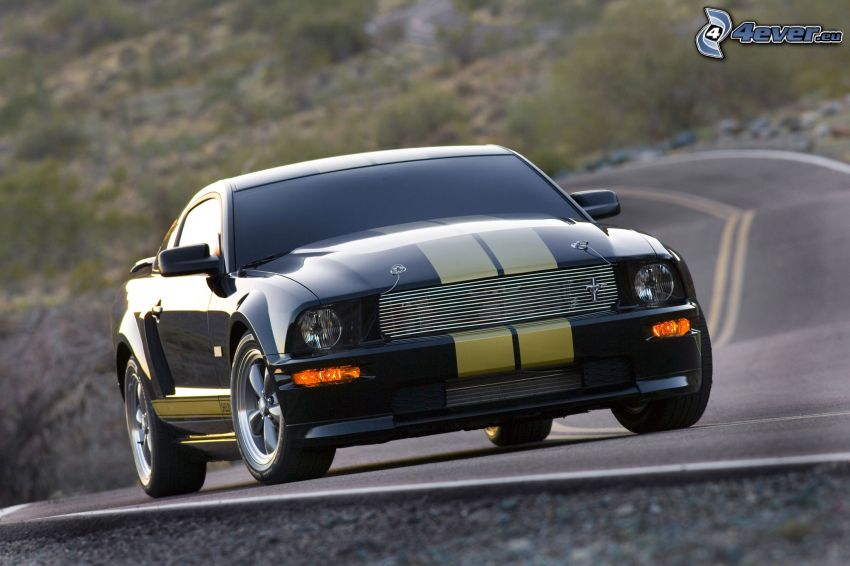 Ford Mustang Shelby, route
