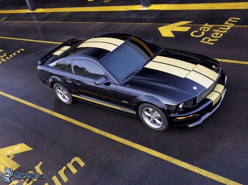 Ford Mustang Shelby GT500, route