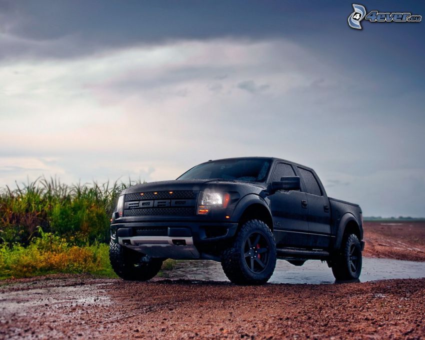 Ford Raptor, pickup truck