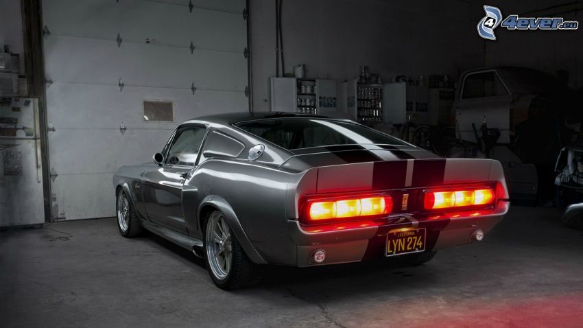 Ford Shelby GT500KR, atelier