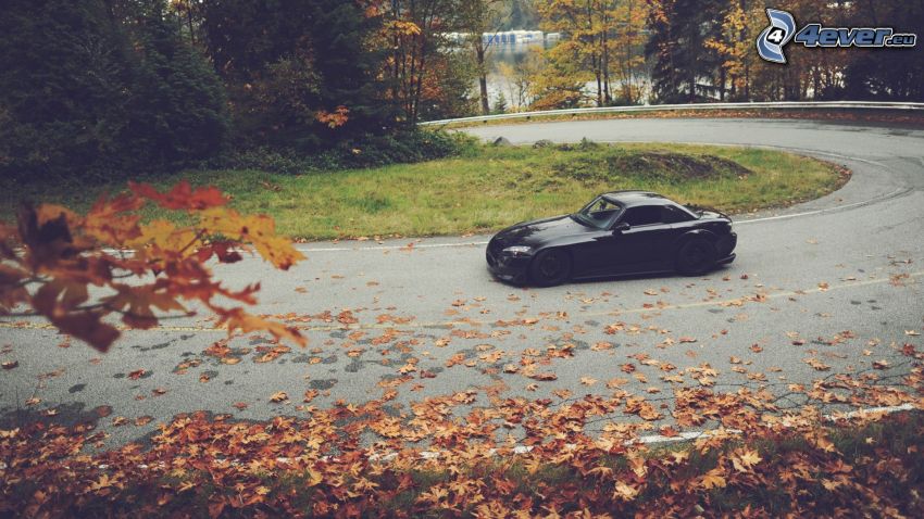 Honda S2000, route, les feuilles tombées