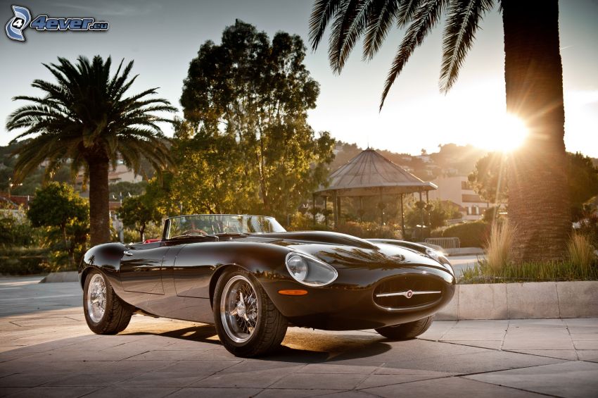 Jaguar E-Type, cabriolet, palmiers, coucher du soleil