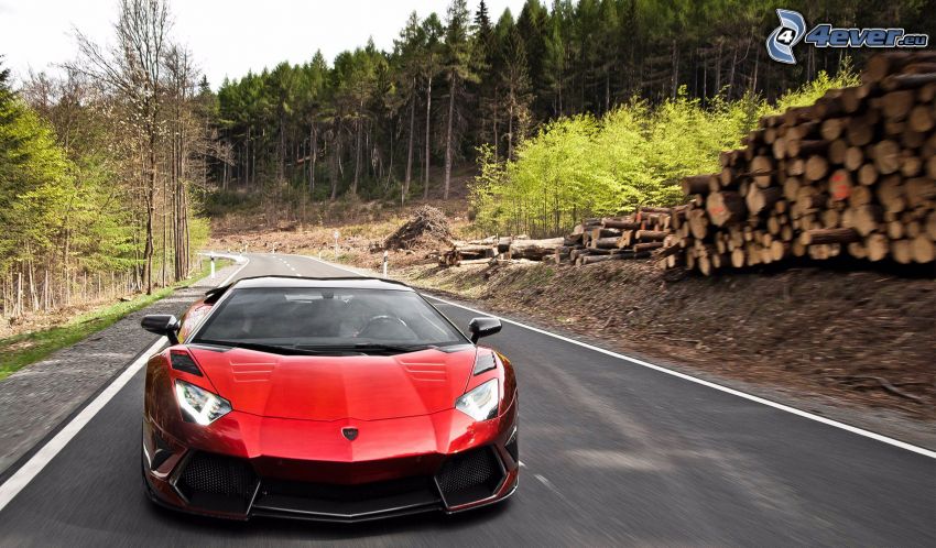 Lamborghini Aventador, forêt, route