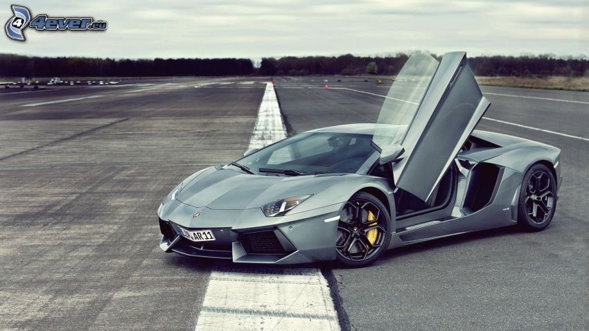 Lamborghini Aventador, porte