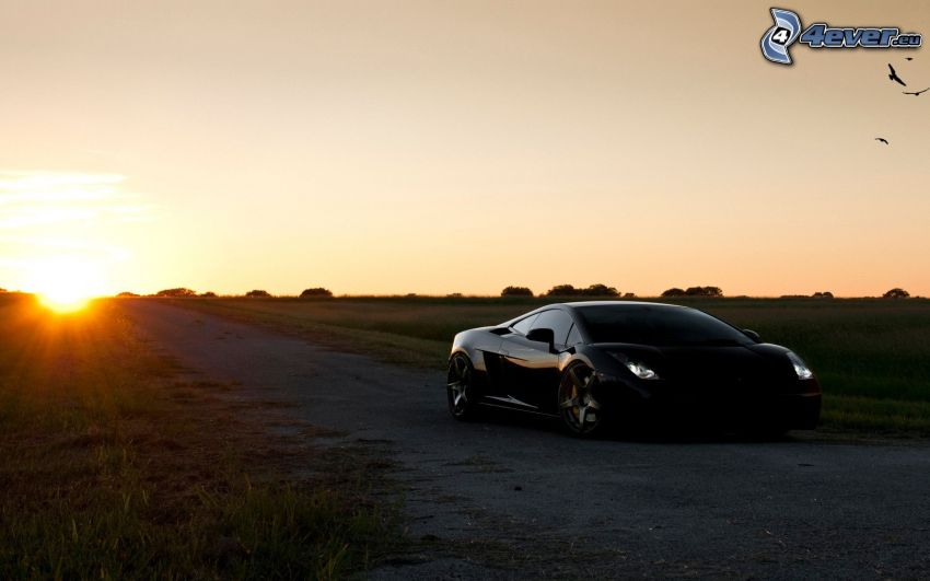 Lamborghini Gallardo, coucher du soleil dans une prairie