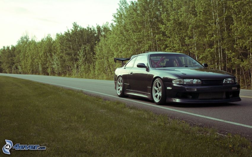 Nissan S14, forêt, route