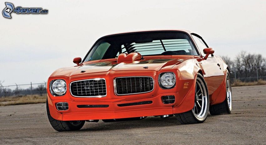 Pontiac Firebird, automobile de collection