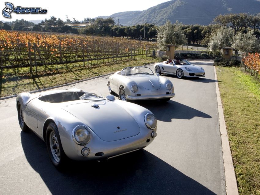 Porsche 356, Porsche, Porsche Boxster Spyder, automobile de collection, cabriolet, vignoble