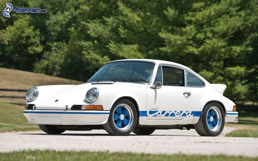 Porsche 911, automobile de collection, arbres