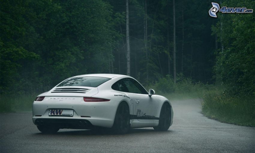 Porsche 911, route par la forêt, brouillard