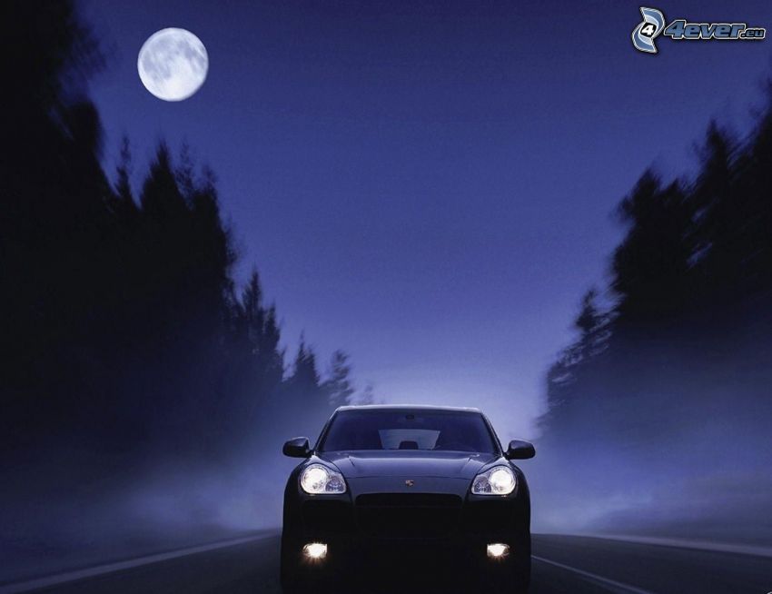 Porsche Cayenne, nuit, lune, brouillard au sol, route par la forêt