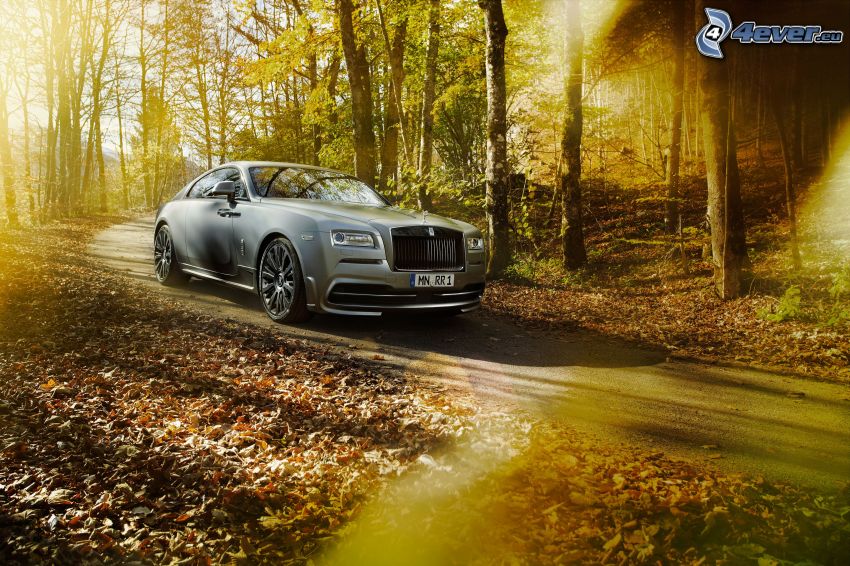 Rolls-Royce Wraith, forêt, feuillage d'automne