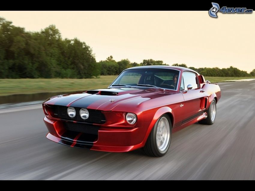 Shelby GT500CR, route