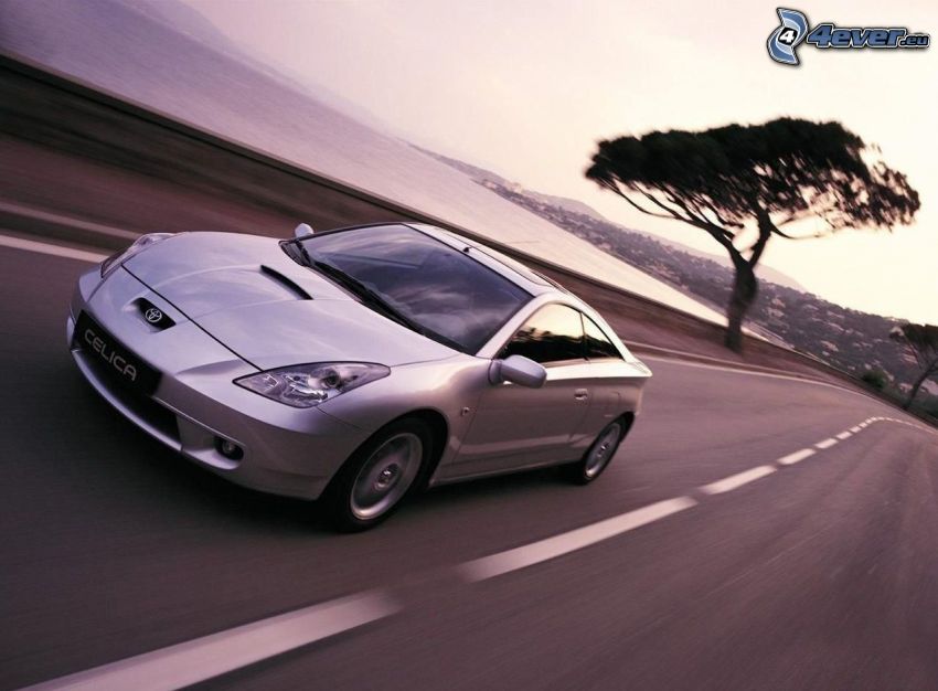 Toyota Celica, la vitesse, route
