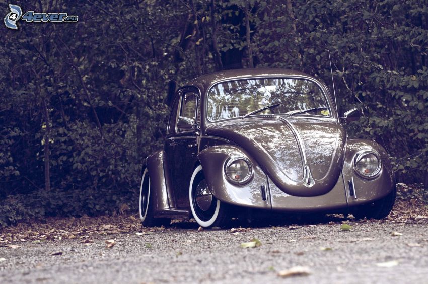 Volkswagen Beetle, automobile de collection, lowrider