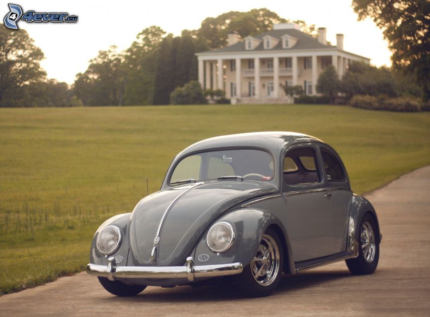 Volkswagen Beetle, automobile de collection, maison, pelouse
