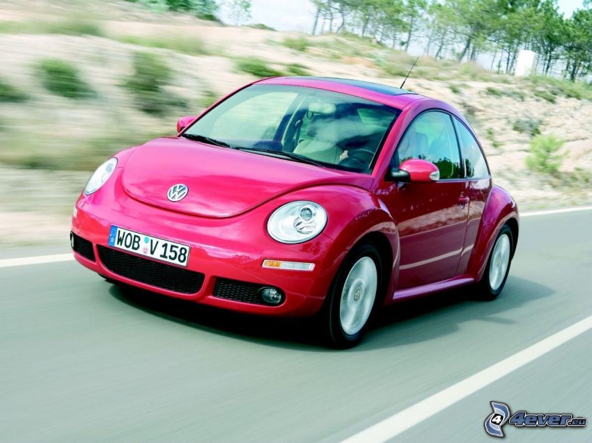 Volkswagen New Beetle, la vitesse