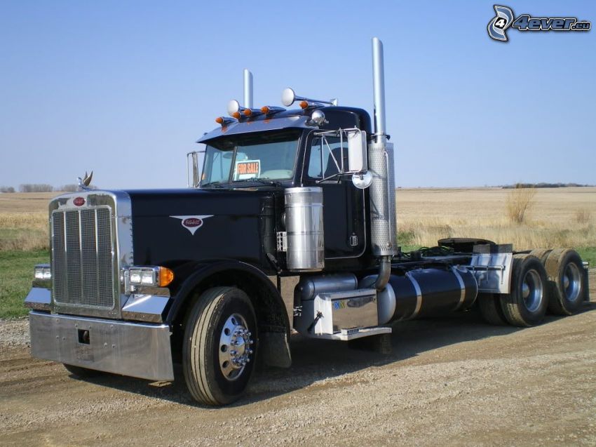 Peterbilt 379, camion américain