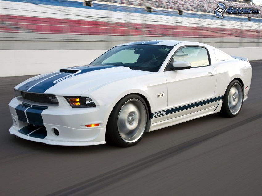 Ford Mustang Shelby, course, la vitesse