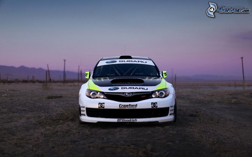 Subaru, champ